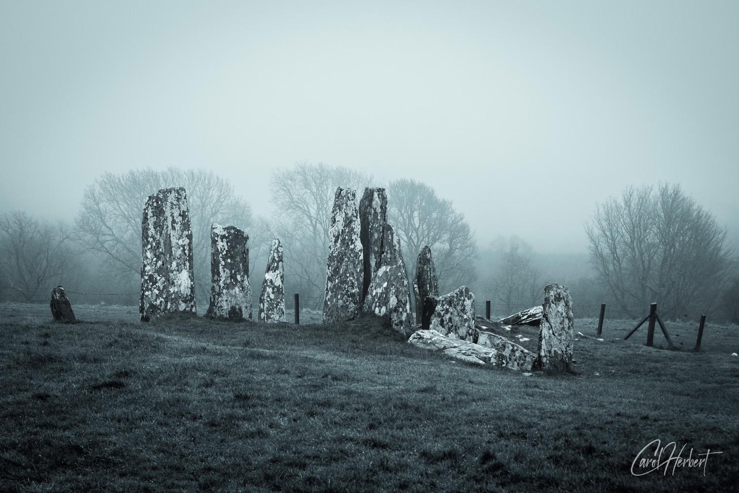 Cairnholy I Chambered Cairn Scotland