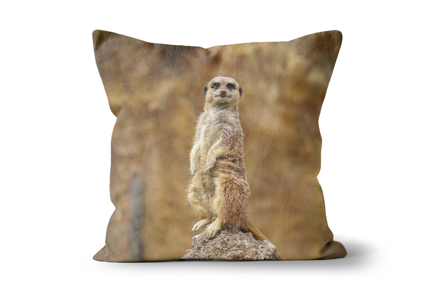 Meerkat on a Rock Square Cushion