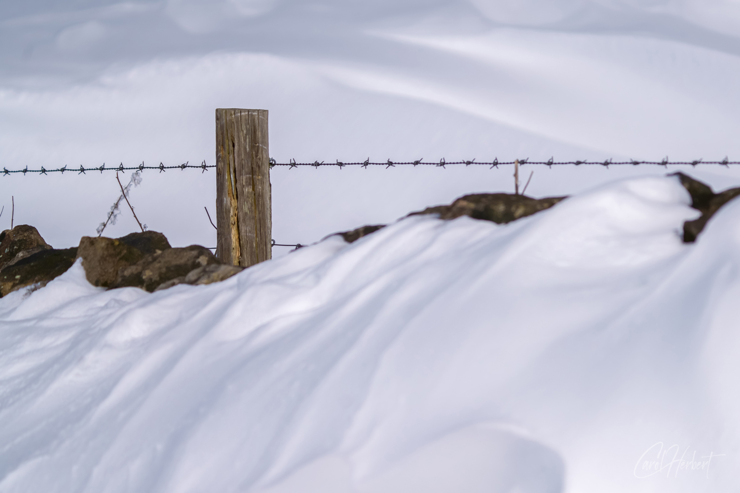 Wooden posts in snow wall art prints