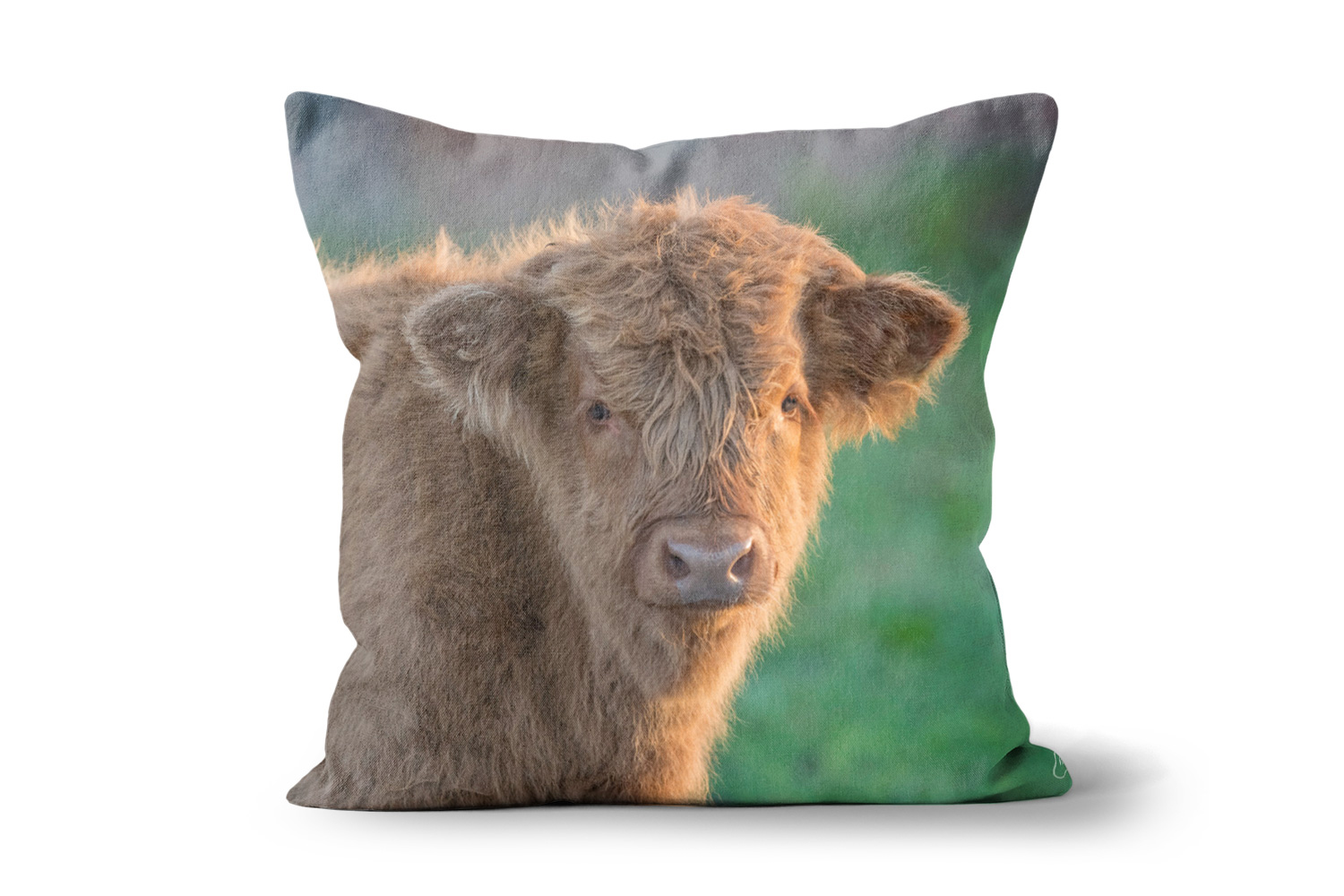 Baby Highland Cow 18in x 18in Throw Cushion