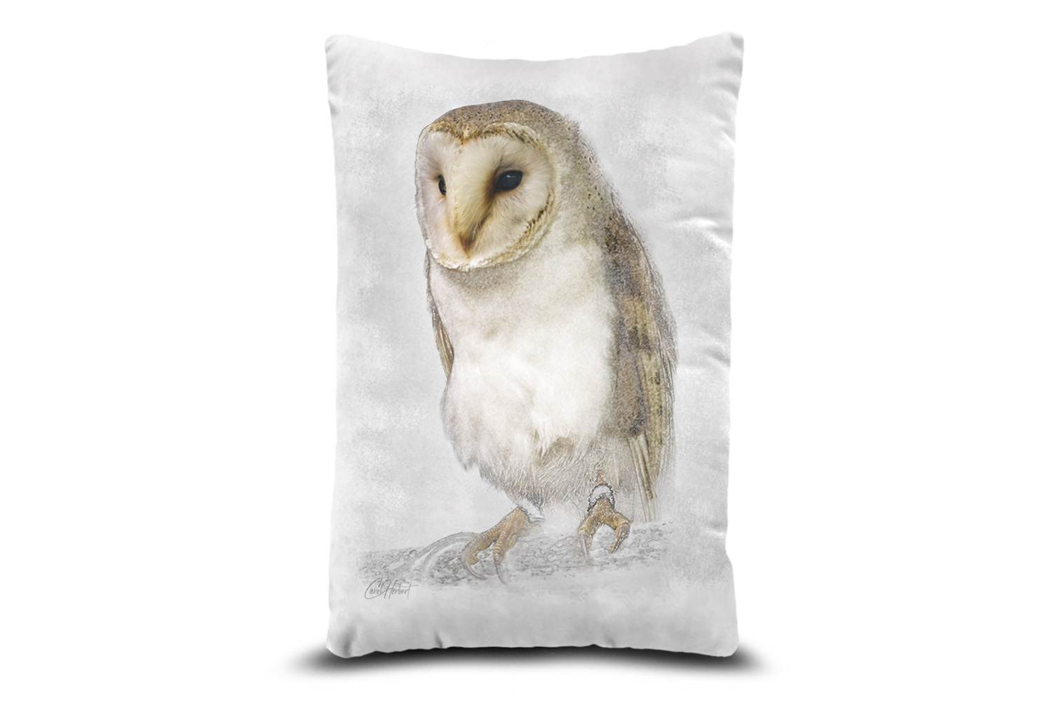Barn Owl 13in x 19in Oblong Throw Cushion Example