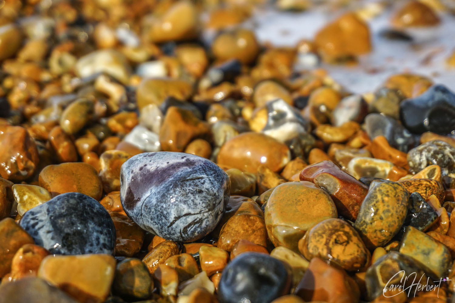 Pebbles on Bulverhythe Beach