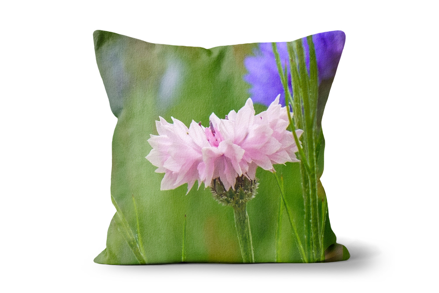 Light Pink Cornflower Square Throw Cushions