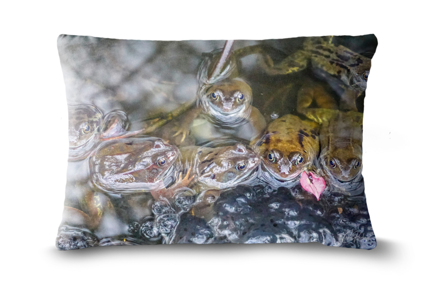 Frogs 19in x 13in Oblong Throw Cushion Example