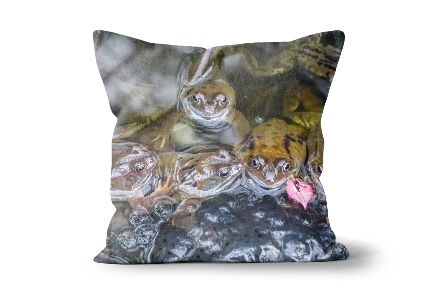 Frogs 18in x 18in Throw Cushion