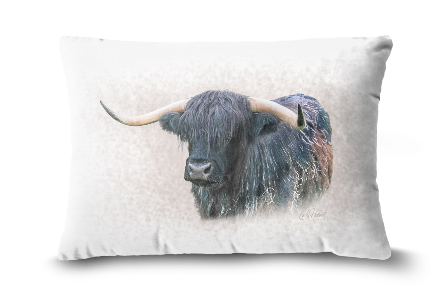 Highland Cow 19in x 13in Oblong Throw Cushion Example