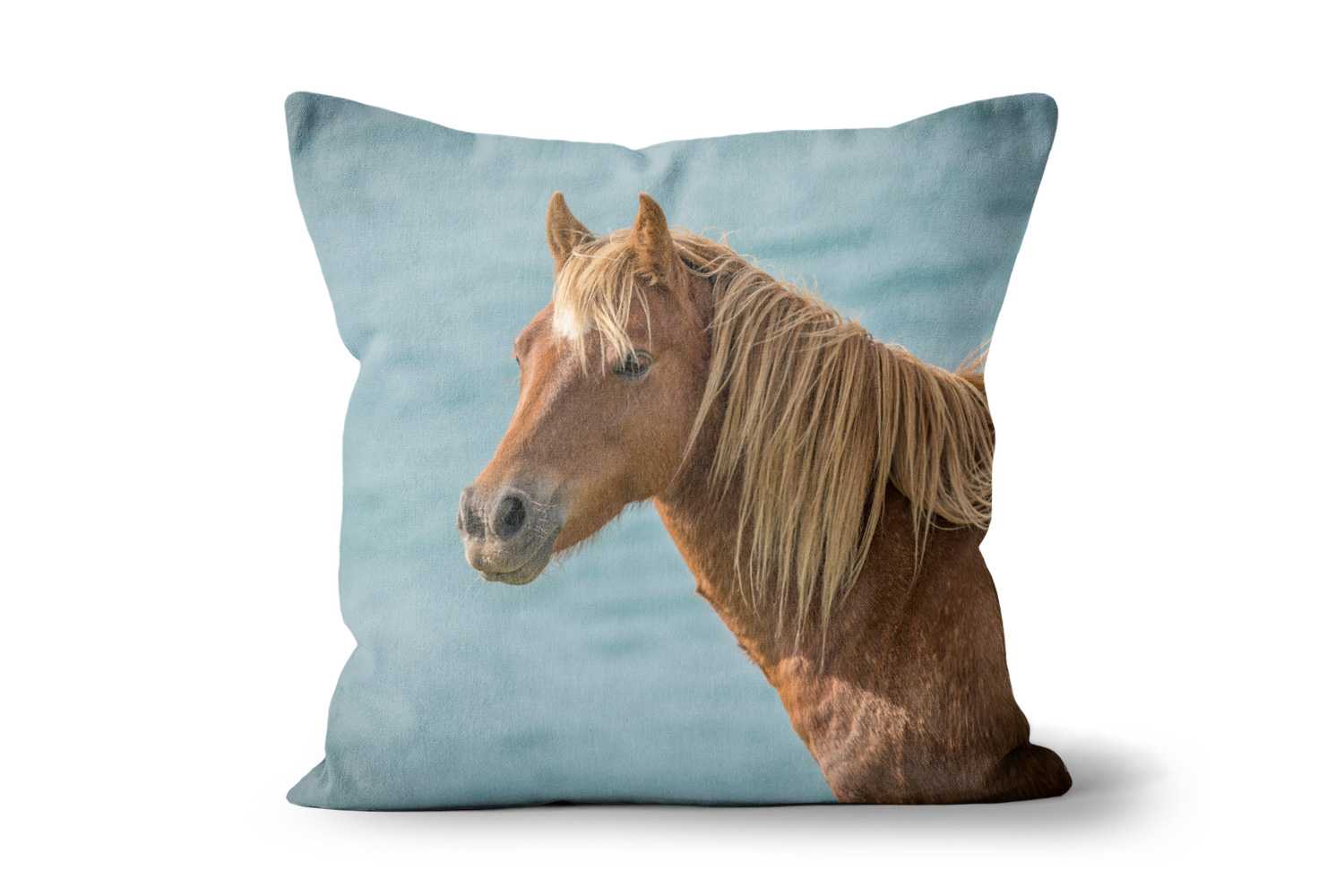 Horse Head 18in x 18in Throw Cushion