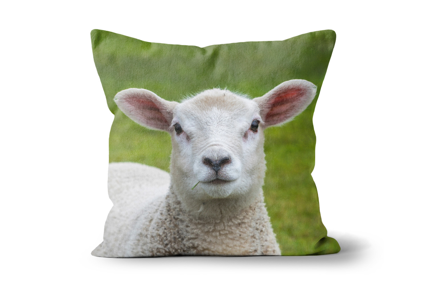 Lambs Head 18in x 18in Throw Cushion