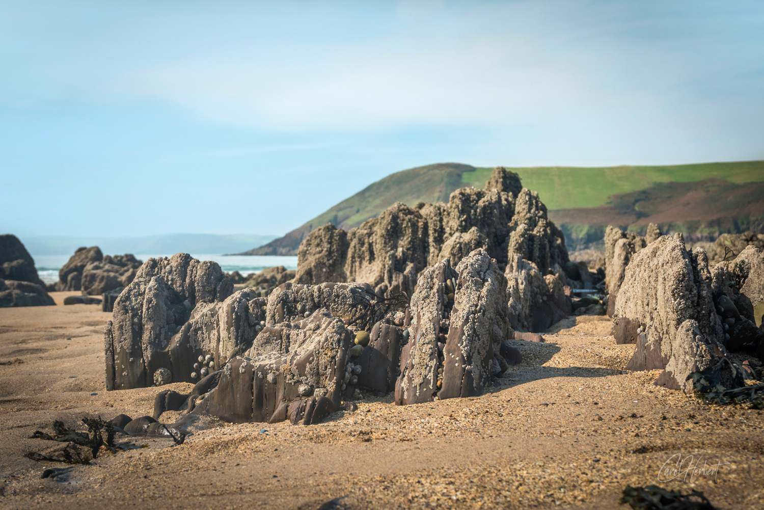 Manorbier Beach