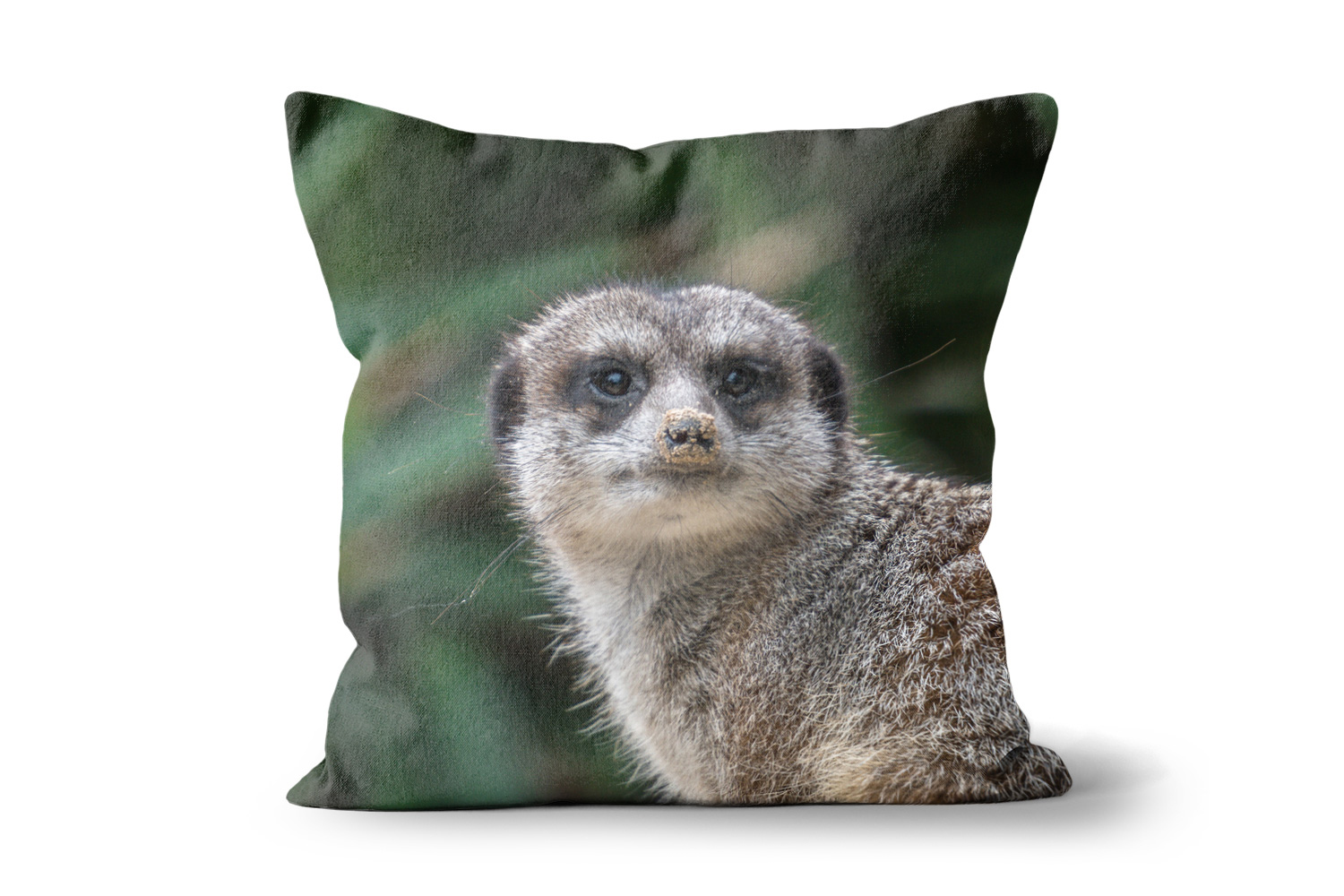 Meerkat 24in x 24in Throw Cushion