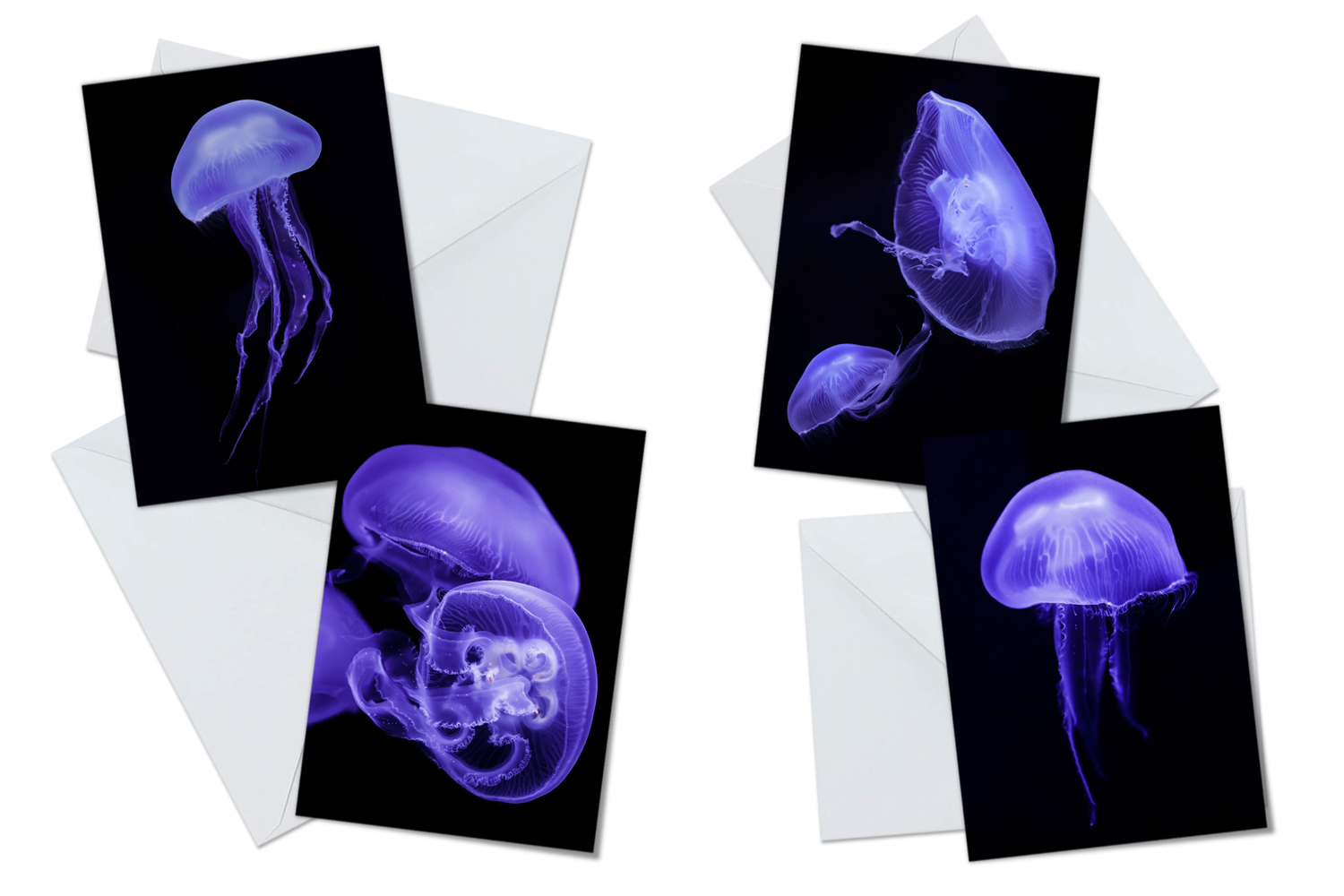 Moon Jellyfish Greeting Card Packs