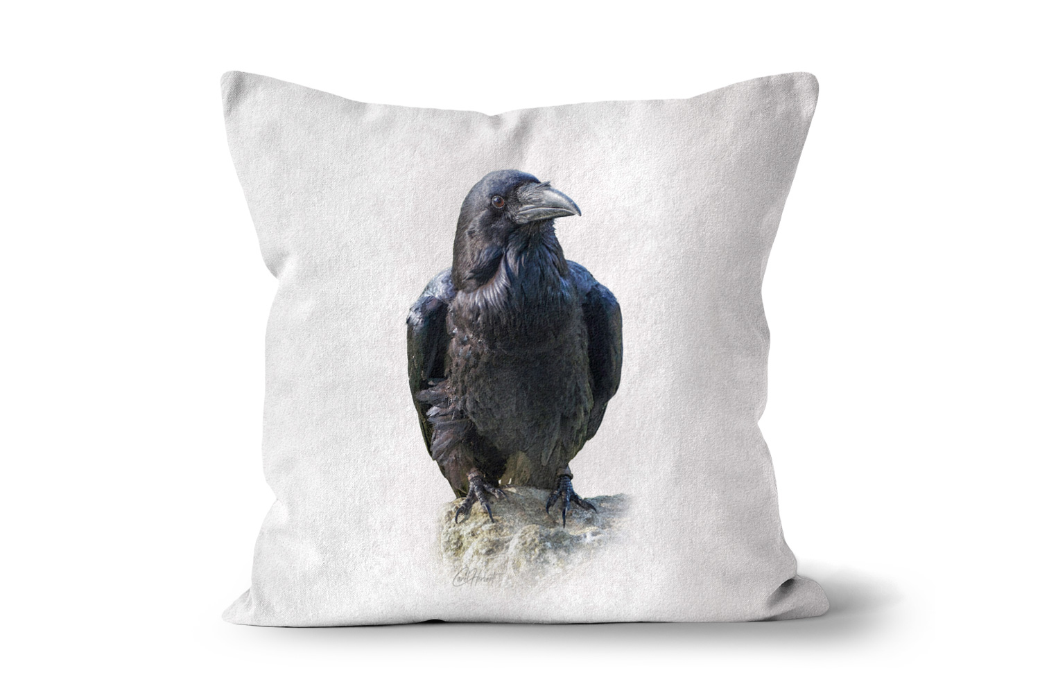Raven Square Throw Cushions