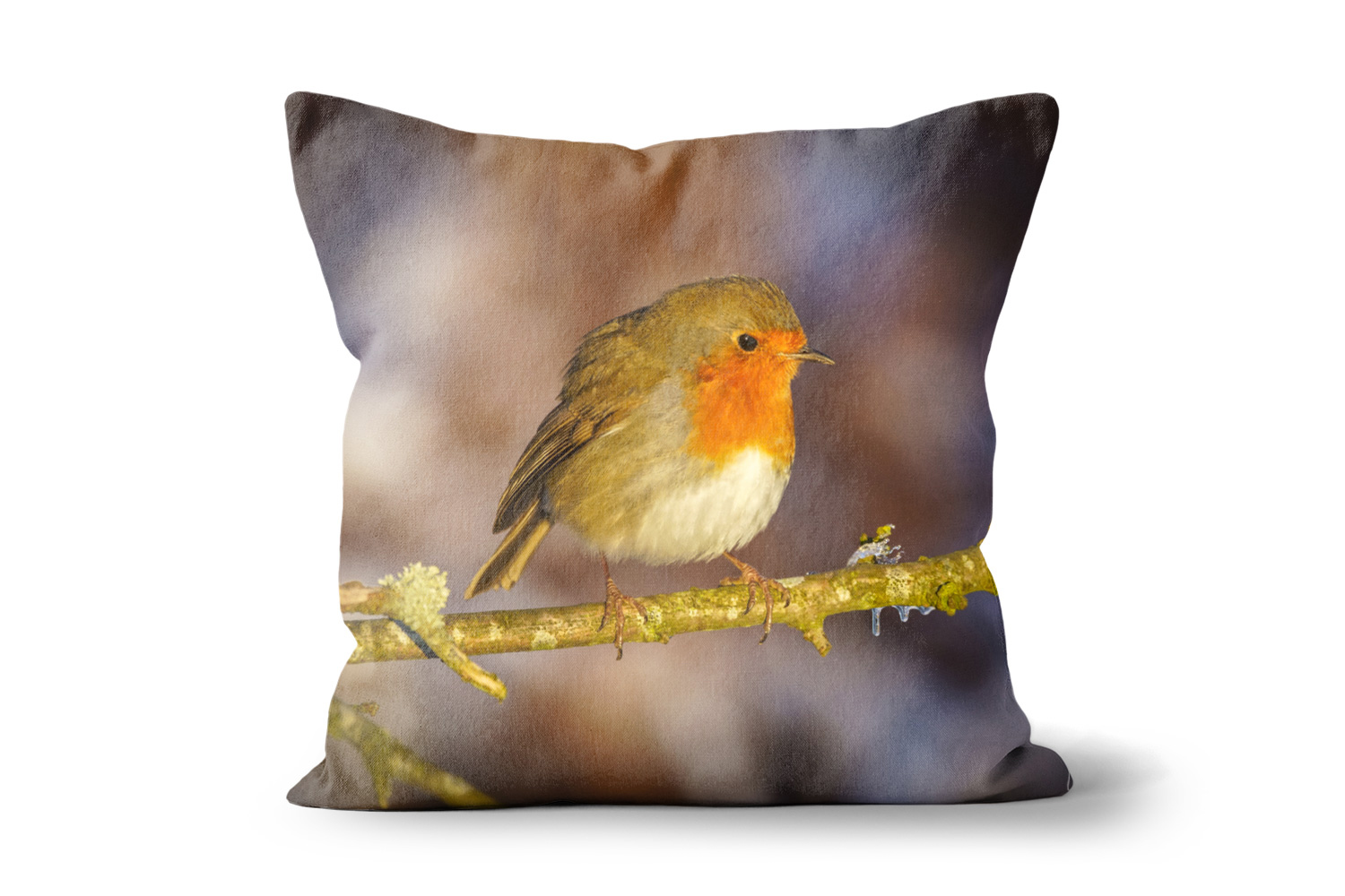 Robin on a branch Square Throw Cushions