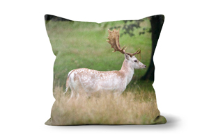Majestic Fallow Deer Cushions by Carol Herbert