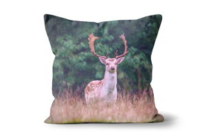 Evening Fallow Deer Cushions by Carol Herbert