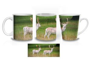 Pair of Fallow Deer Ceramic Mugs