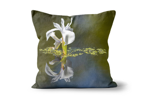 White Water Iris Cushions by Carol Herbert