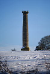 Keppels Column Wall Art by Carol Herbert