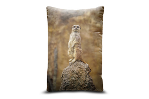 Meerkat on a Rock Oblong Cushion