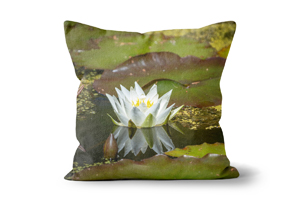 Nymphaea Alba Water Lily Cushion Options