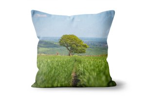 Spring Wheat Field Tree Cushions by Carol Herbert