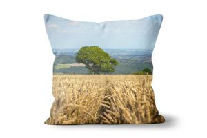 Summer Wheat Field Tree Cushions by Carol Herbert