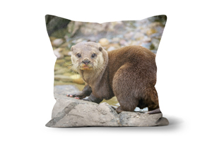 Otter Cushions by Carol Herbert