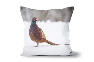 Pheasant in Snow Cushions by Carol Herbert