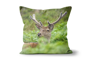 Red Deer Stag Head Cushions by Carol Herbert