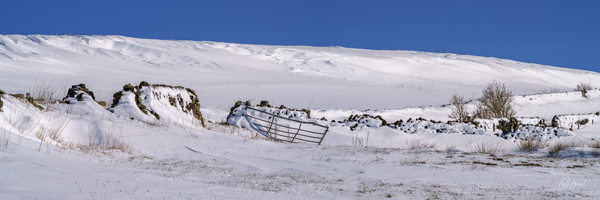 Bradfield Snows 02 - Panoramic Wall Art by Carol Herbert