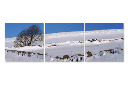 Bradfield Snows 01 - Triptych Canvas Wall Art by Carol Herbert