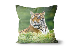 Sumatran Tiger Cushion Options