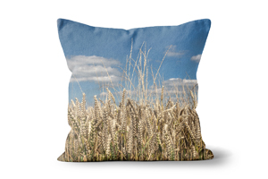 Wheat Cushions by Carol Herbert