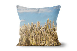 Summer Wheat Cushions by Carol Herbert