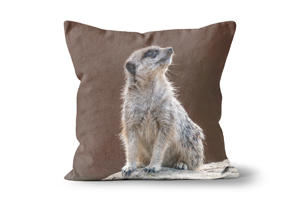 Alert Baby Meerkat Cushions by Carol Herbert