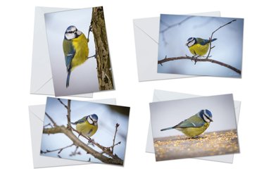 A5 Greeting Card Pack