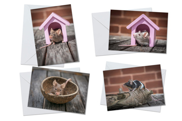 Fancy Mice - Greeting Card Packs by Carol Herbert