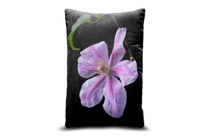 Clematis 13in x 19in Oblong Throw Cushion