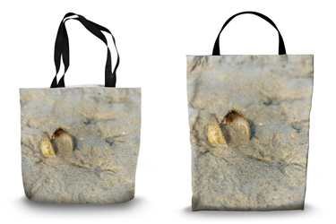 Cockle Beach 4 Canvas Tote Bag Options