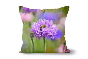 Dark Pink Cornflower Cushions by Carol Herbert