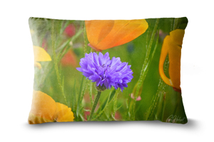 Cornflower Among California Poppies Rectangle Throw Cushions