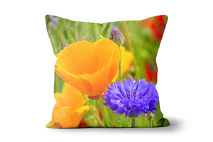 Cornflower And California Poppies Cushions by Carol Herbert