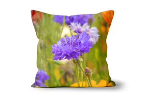 Cornflowers Cushions by Carol Herbert
