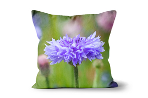 Lilac Cornflower Cushions by Carol Herbert