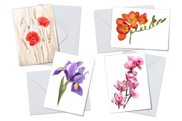 Flower Art - Greeting Card Packs by Carol Herbert
