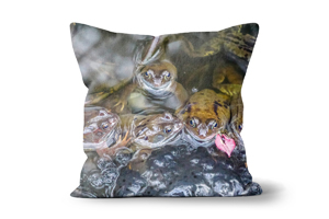 Frog Spawn Cushions by Carol Herbert