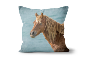 Coastal Chestnut Horse Cushions by Carol Herbert