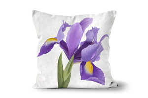 Iris Cushions by Carol Herbert