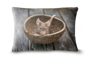Jerry Fancy Mouse 19in x 13in Oblong Throw Cushion