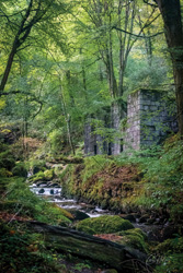 Kennall Vale Ruin 1 Art Print Options